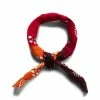 Needles TENUGUI BANDANA - PAISLEY / GRADATION